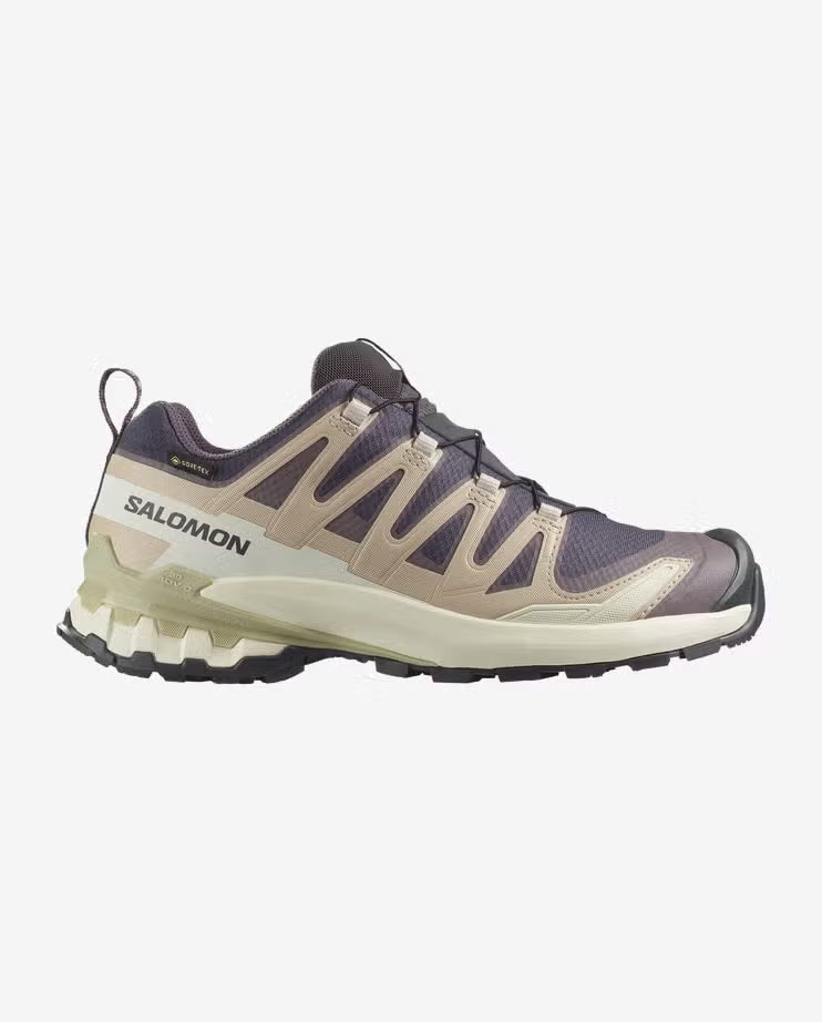 Salomon Womens XA Pro 3D V9 Gore-Tex Shoes