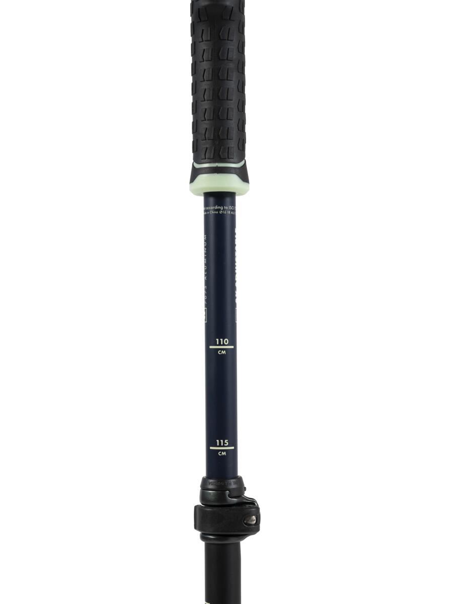 Armada AK Adjustable Ski Poles