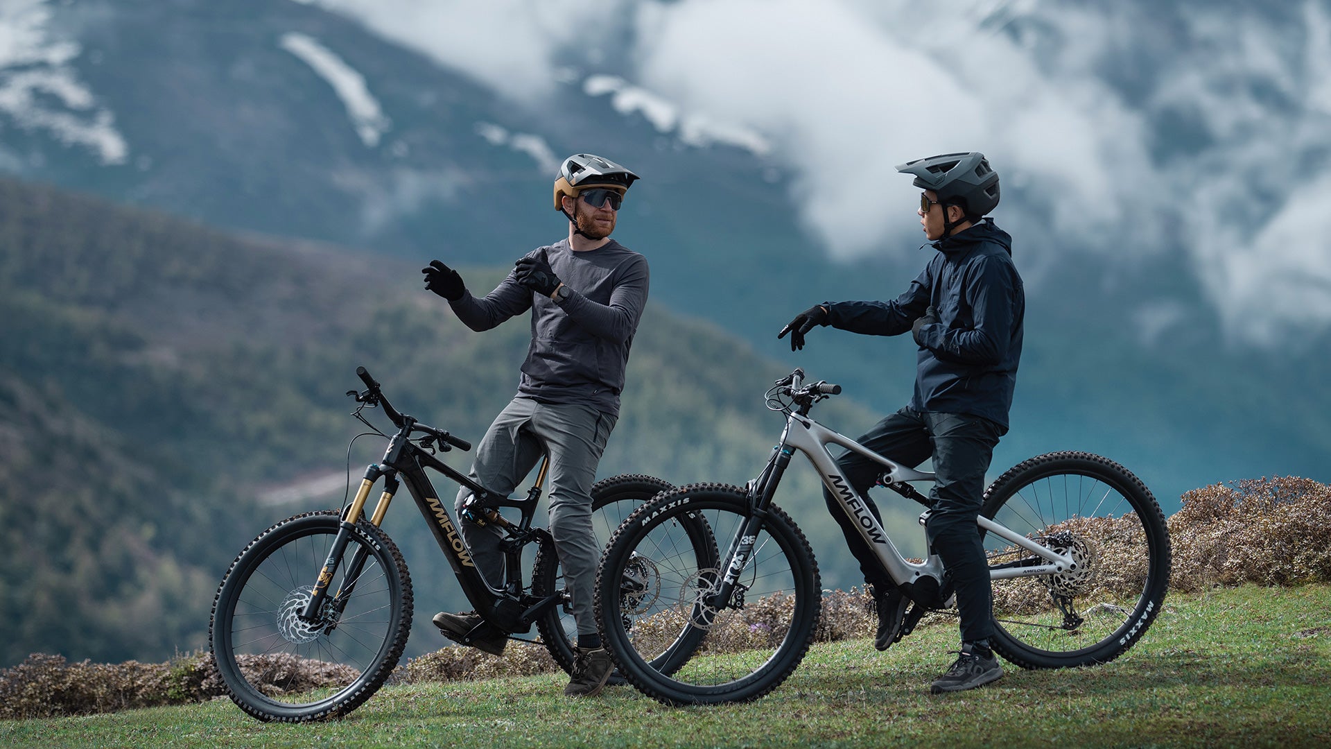 Amflow PL Carbon (800Wh)