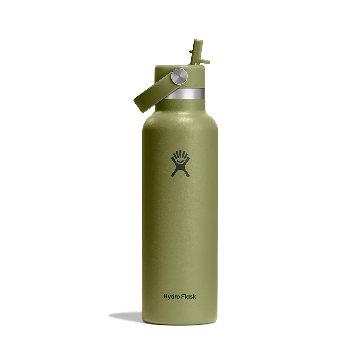 Hydro Flask Standard Mouth with Flex Straw Bottle 21 Oz Palmer Green