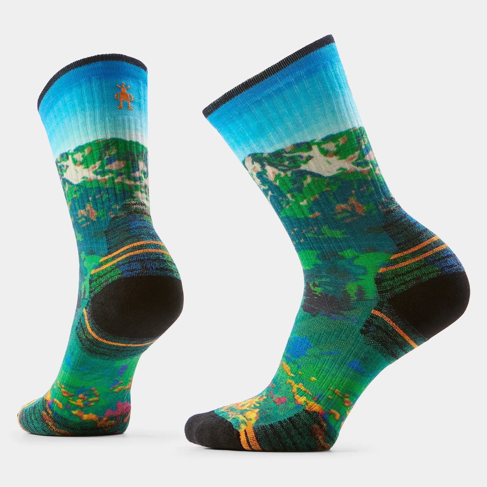 Smartwool Womens Hike Targeted Cushion Mountain Lake Print Crew Socks CAPRI