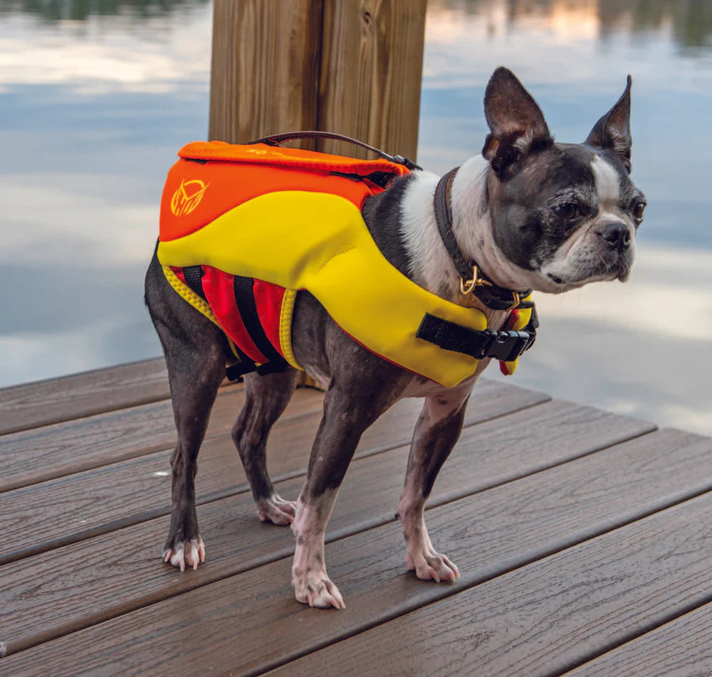 HO Sage Neoprene Dog Vest