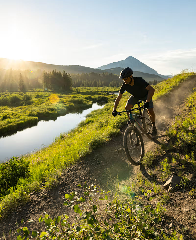 Trek Marlin 5 Gen 3 29" Hardtail