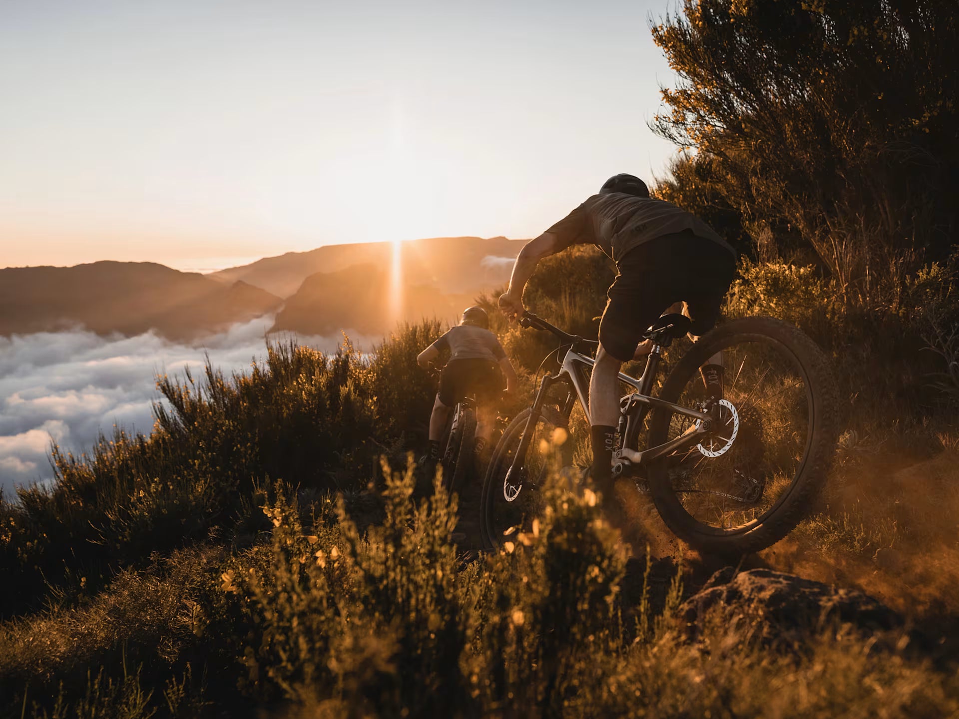 Trek Top Fuel 8 Gen 4 MTB