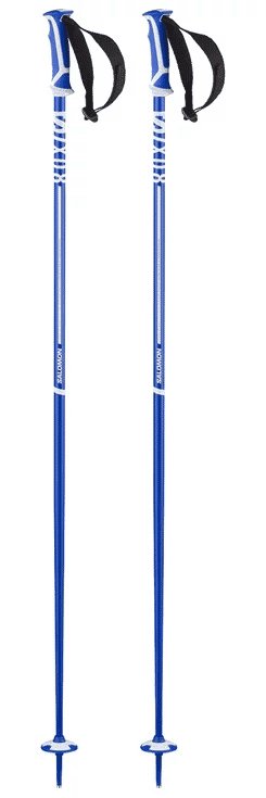 Salomon X 08 Ski Pole