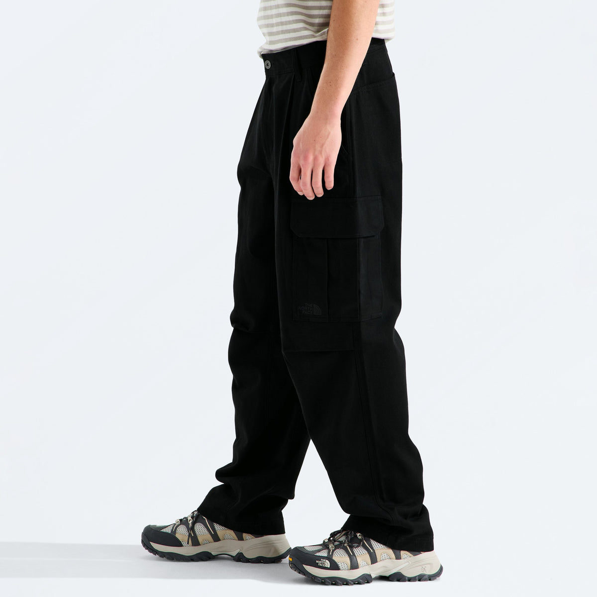 TNF Mens Beta Cargo Pant