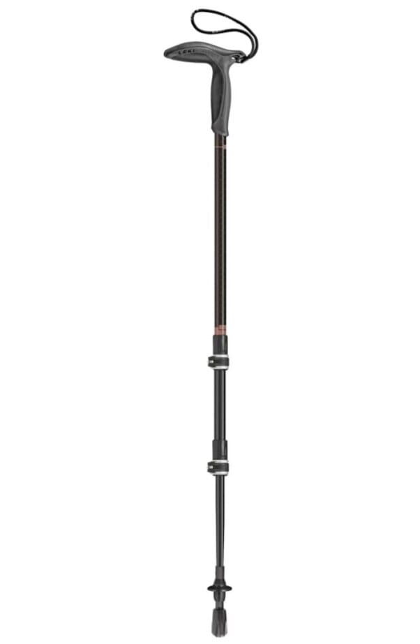 Leki Wanderfreund Trekking Pole - Single